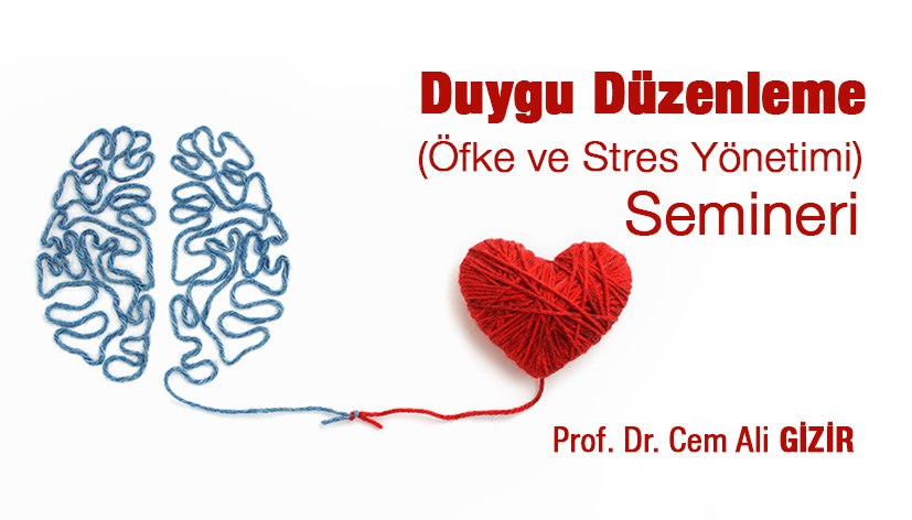 Duygu Düzenleme (Öfke ve Stres Yönetimi) Semineri